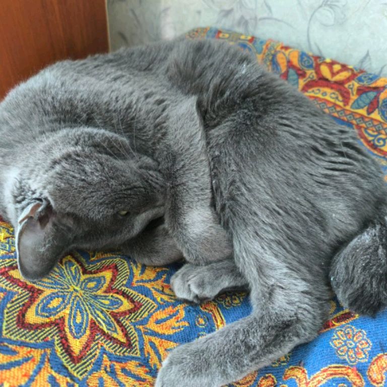 Аватар автора