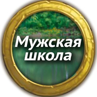 Иконка канала MSchool