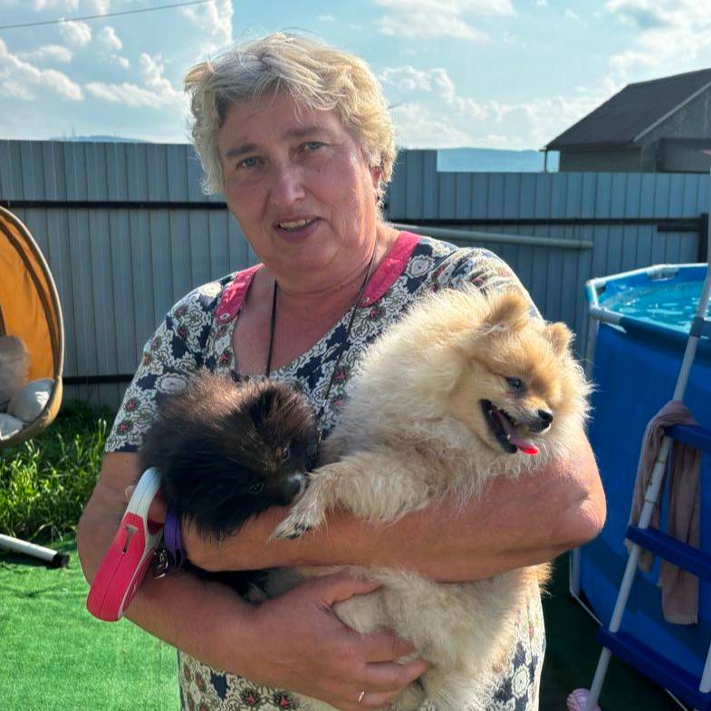 Аватар автора