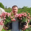 Иконка канала Ярославский Розарий