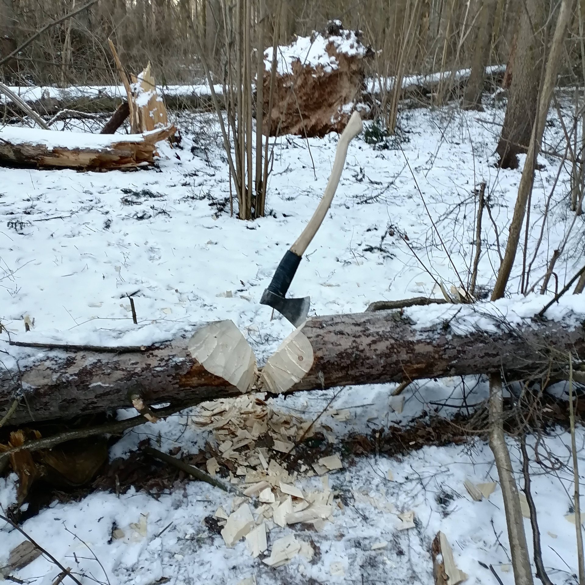 Иконка канала channel58168191