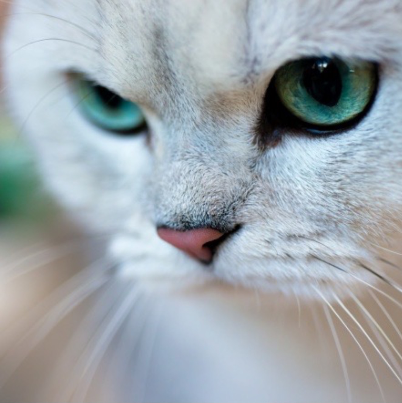 Иконка канала Путь домой