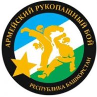 Иконка канала Федерация Армейского рукопашного боя РБ