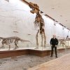 Иконка канала ИВАНЬКОВ НА ДИВНОМОРСКОЙ
