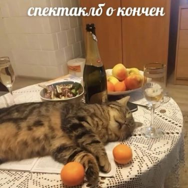 Аватар
