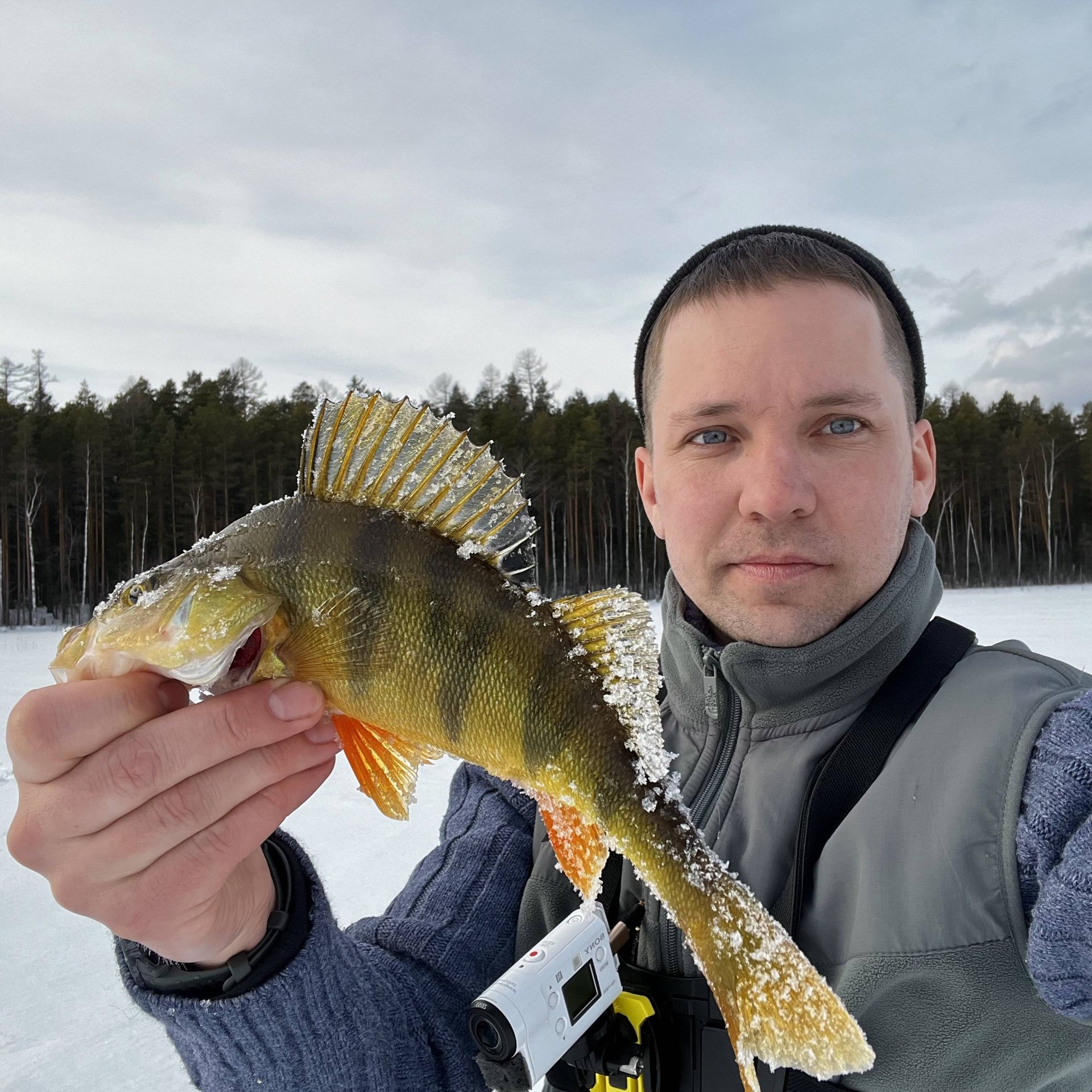 Аватар автора