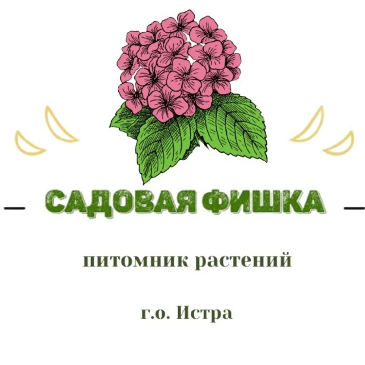 Иконка канала Natalia-Rybina