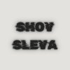 Иконка канала ShovSleva