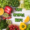 Иконка канала Уют Огород Вкус