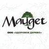 Иконка канала Mauget «Здоровое дерево»