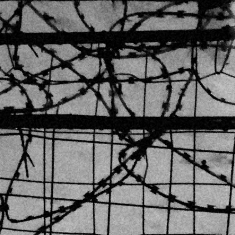 Иконка канала Negative fields.