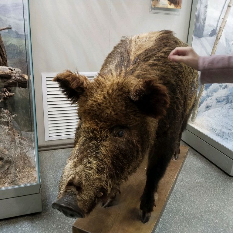 Аватар автора