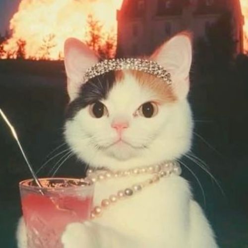 Аватар