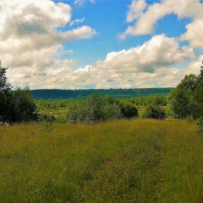 Иконка канала Восточно-Европейская равнина