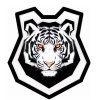 Иконка канала TIGER'S VLOGS