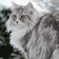 Иконка канала Pupuchka