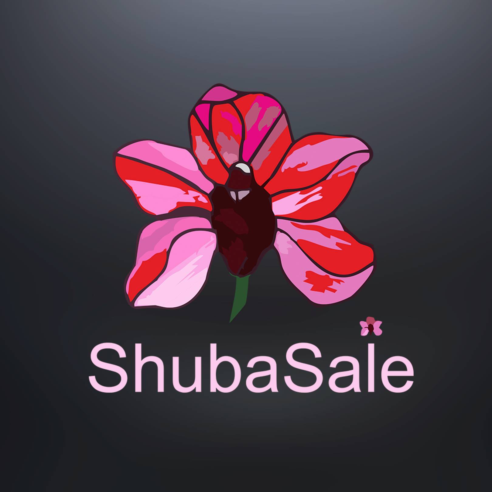 shuba net worth - Ilustrasi 3