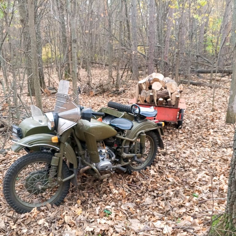 Иконка канала Рождённый Чтобы Жить