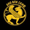 Иконка канала АНО ВПК СКИФ