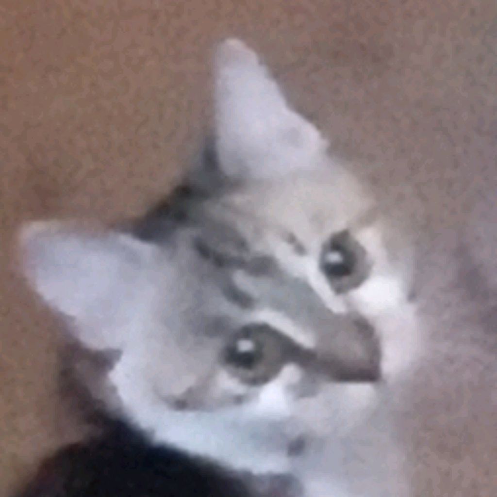 Иконка канала Catuna