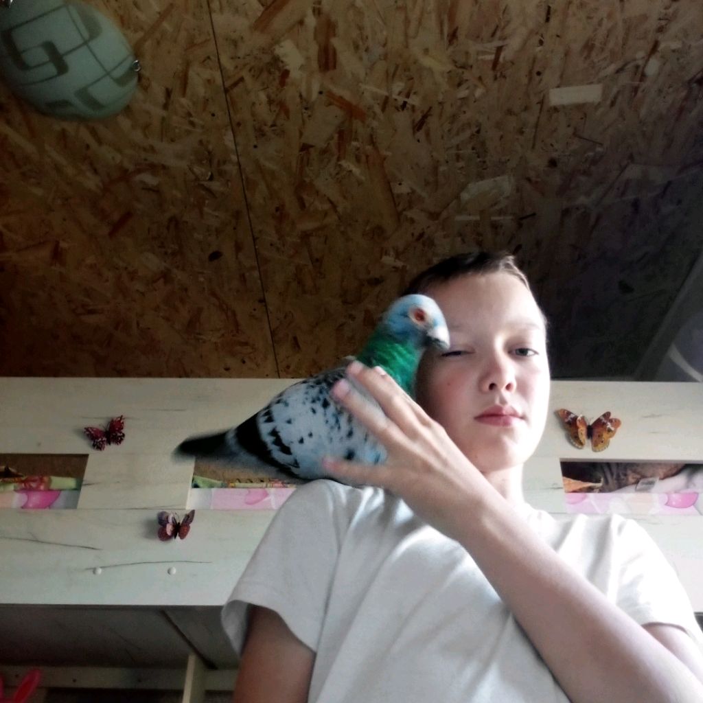 Аватар автора