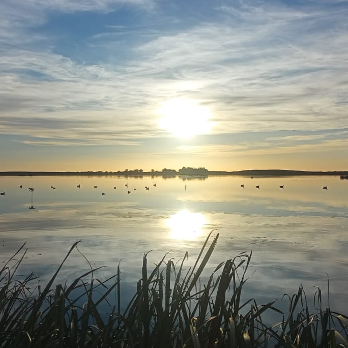 Иконка канала Nurbis