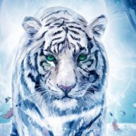 Иконка канала DrakoTigr