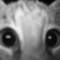 Иконка канала Lukukuu