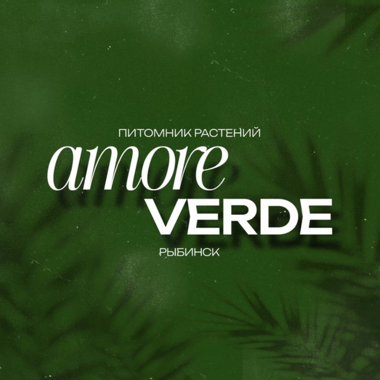 Иконка канала AMORE VERDE | Питомник растений
