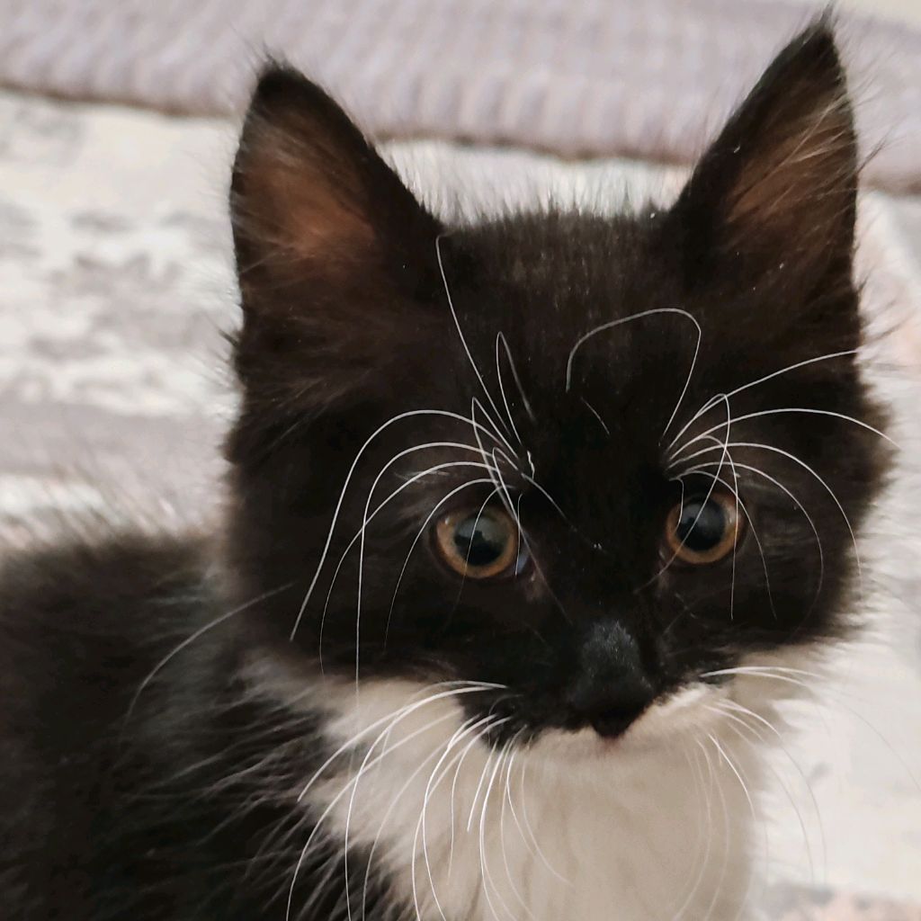 Иконка канала Лена и Фрося))