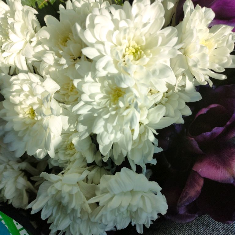 Иконка канала Наша жизнь ❤️