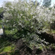 Иконка канала Людмила на даче и дома