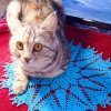 Иконка канала Вязание И Жизнь Юлии Н.