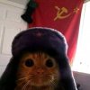 Иконка канала channel39229422