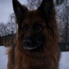 Иконка канала channel41717850