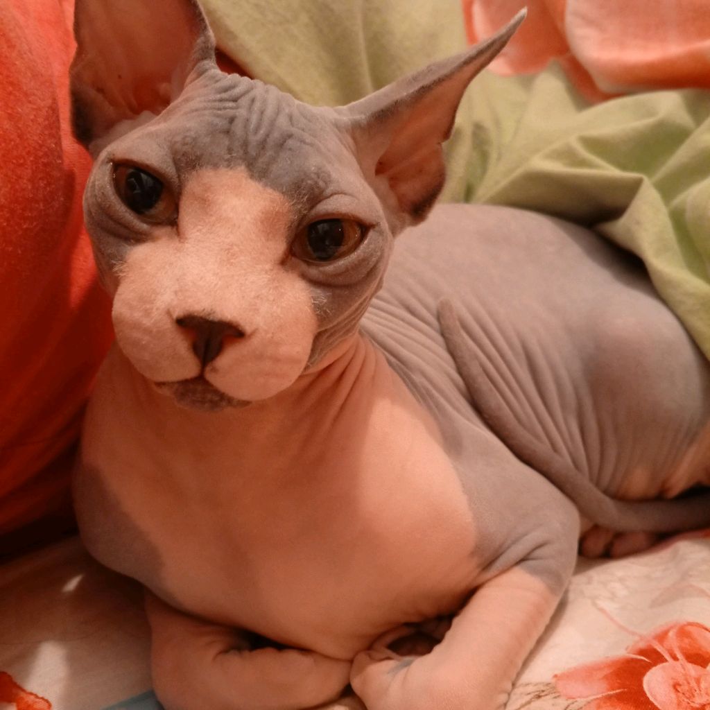 Иконка канала Наша жизнь