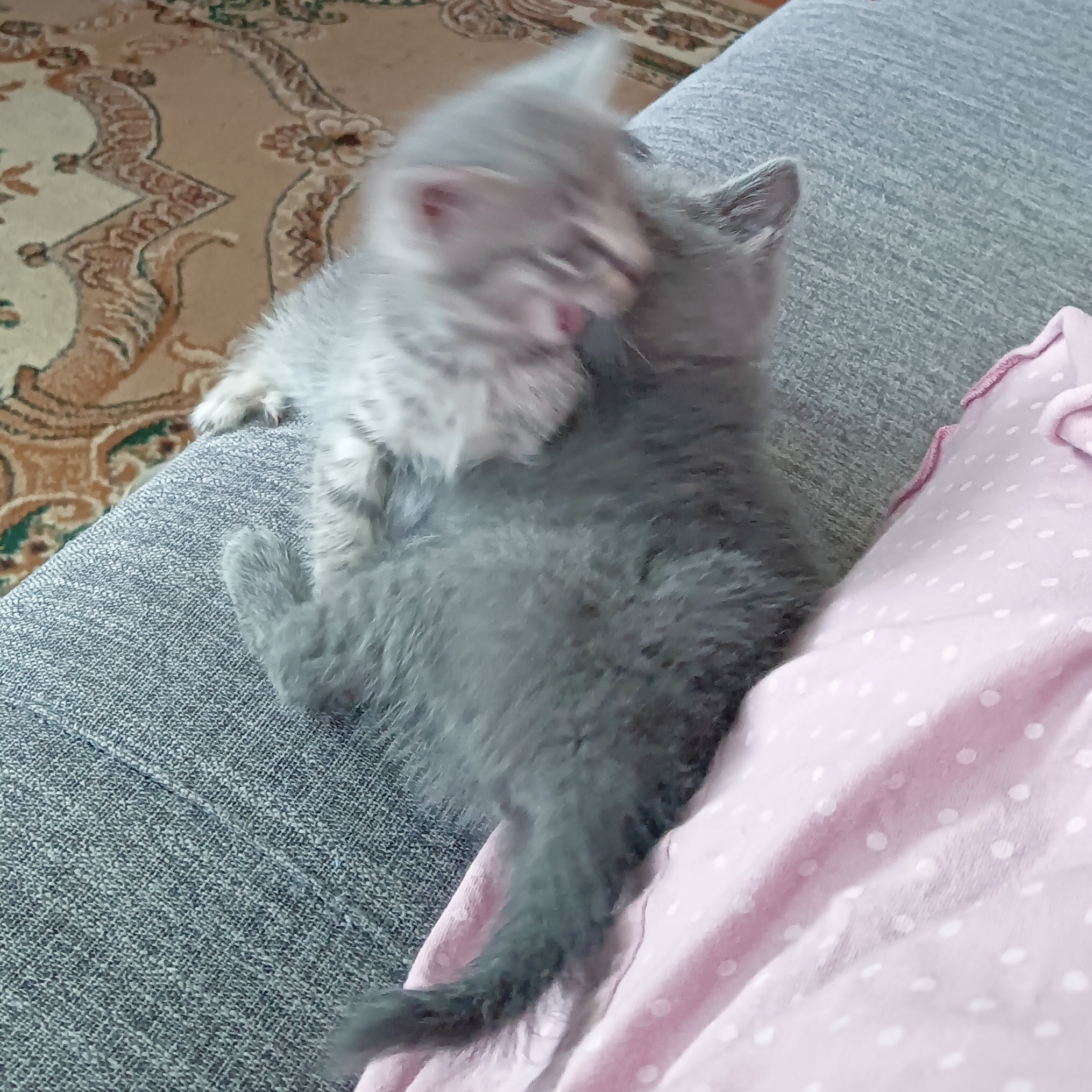 Аватар автора