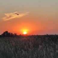 Иконка канала Интересное рядом с нами