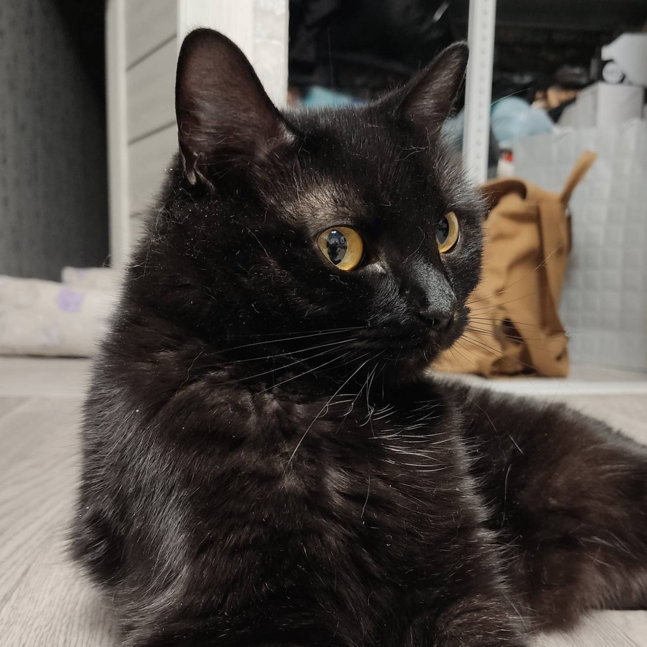 Аватар автора