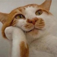 Иконка канала ironsky