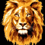 Иконка канала Leo Cher
