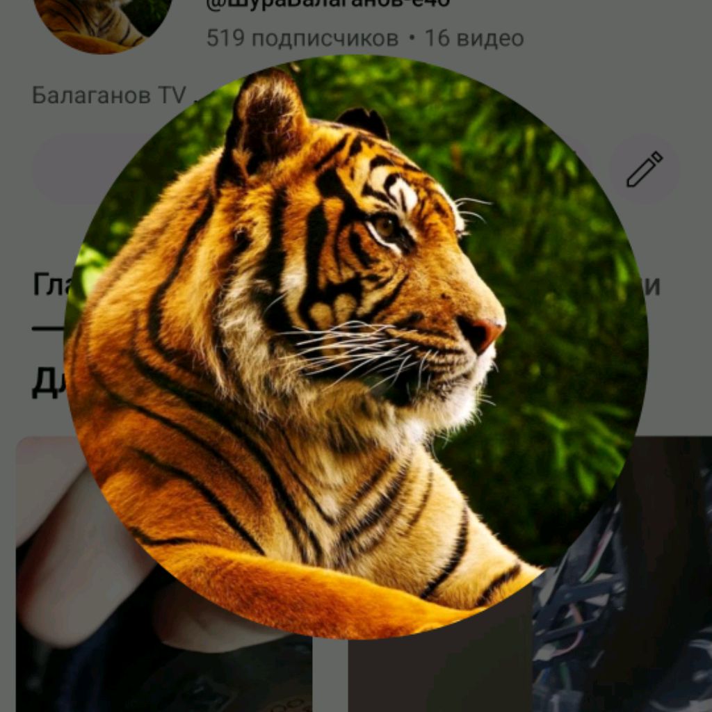 Аватар автора