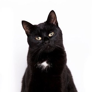 Иконка канала Евгения Live