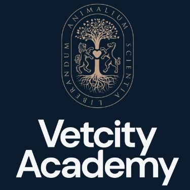 Иконка канала Академия VetCity