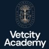 Иконка канала Академия VetCity