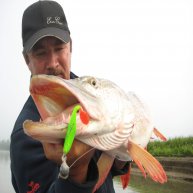 Иконка канала На речном берегу