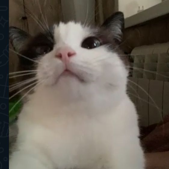 Иконка канала NaSax9