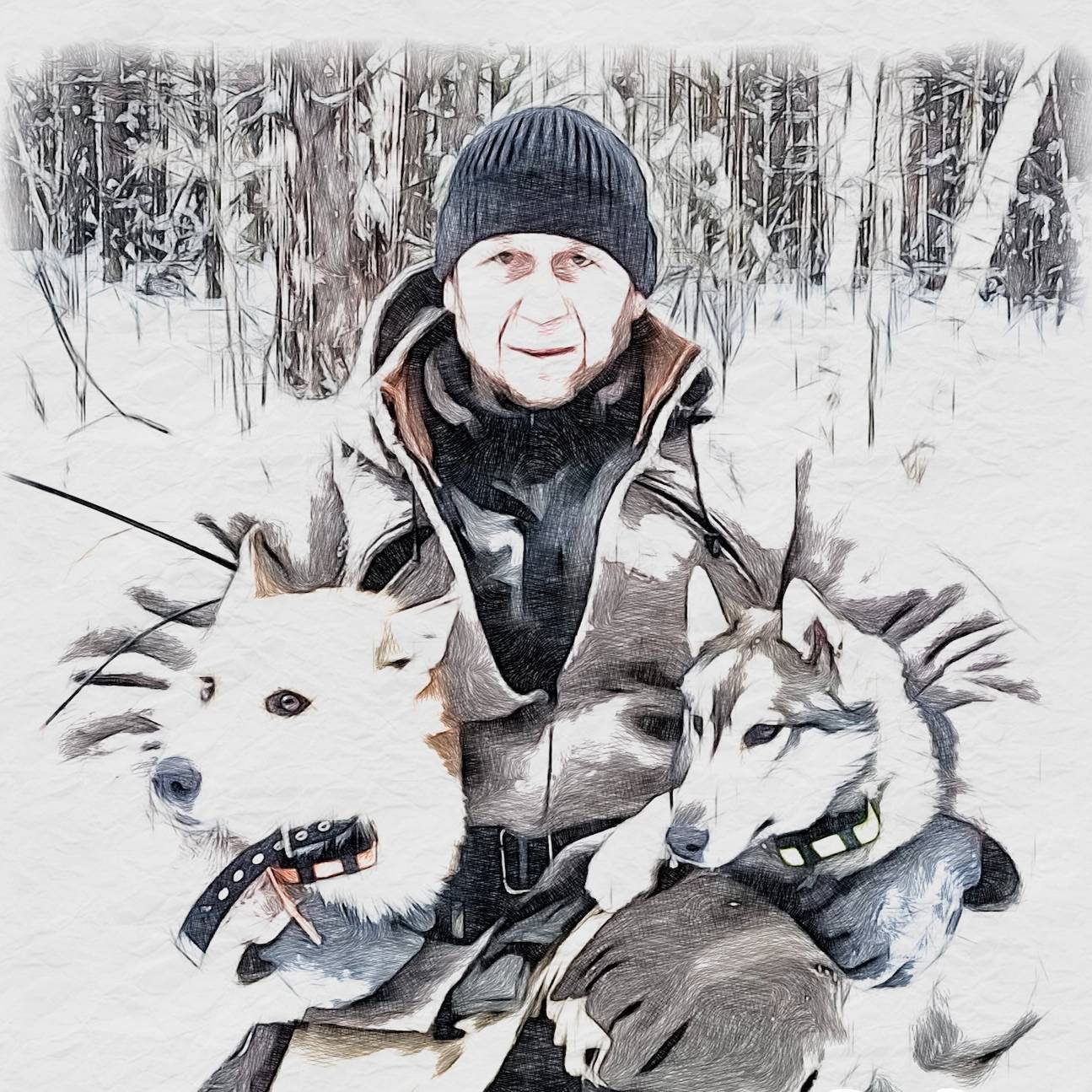 Аватар автора