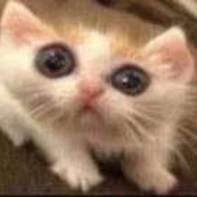 Иконка канала GameArhive