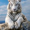 Иконка канала Диана-флора 🐅🌾🌊🍁🌺